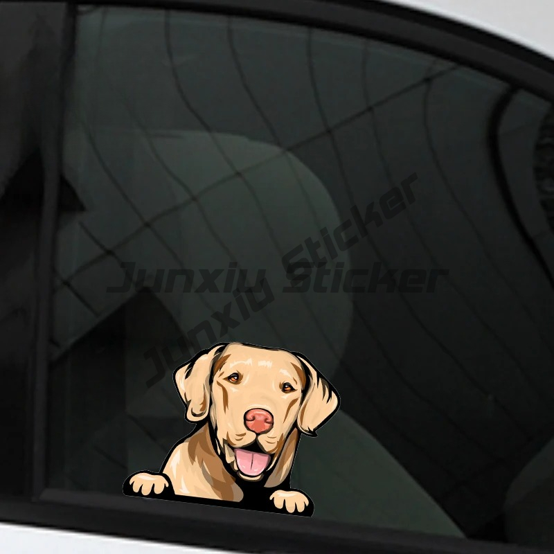 Labrador Retriever Peeker Car  - đánh giá và giá Yellow Laptop Accessories