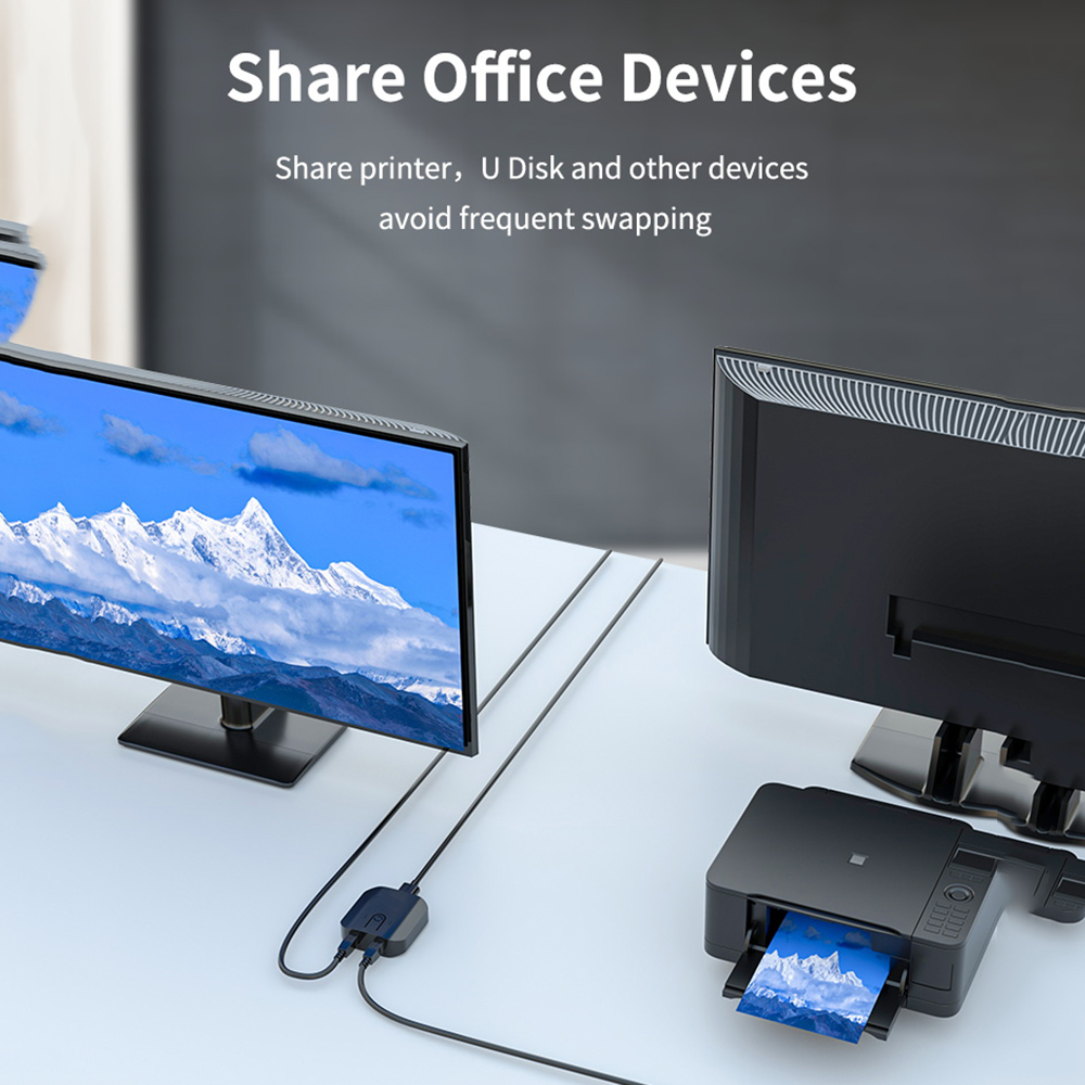 2X1 KVM Switch Box Selector Du - đánh giá và giá Monitor Portable Usb