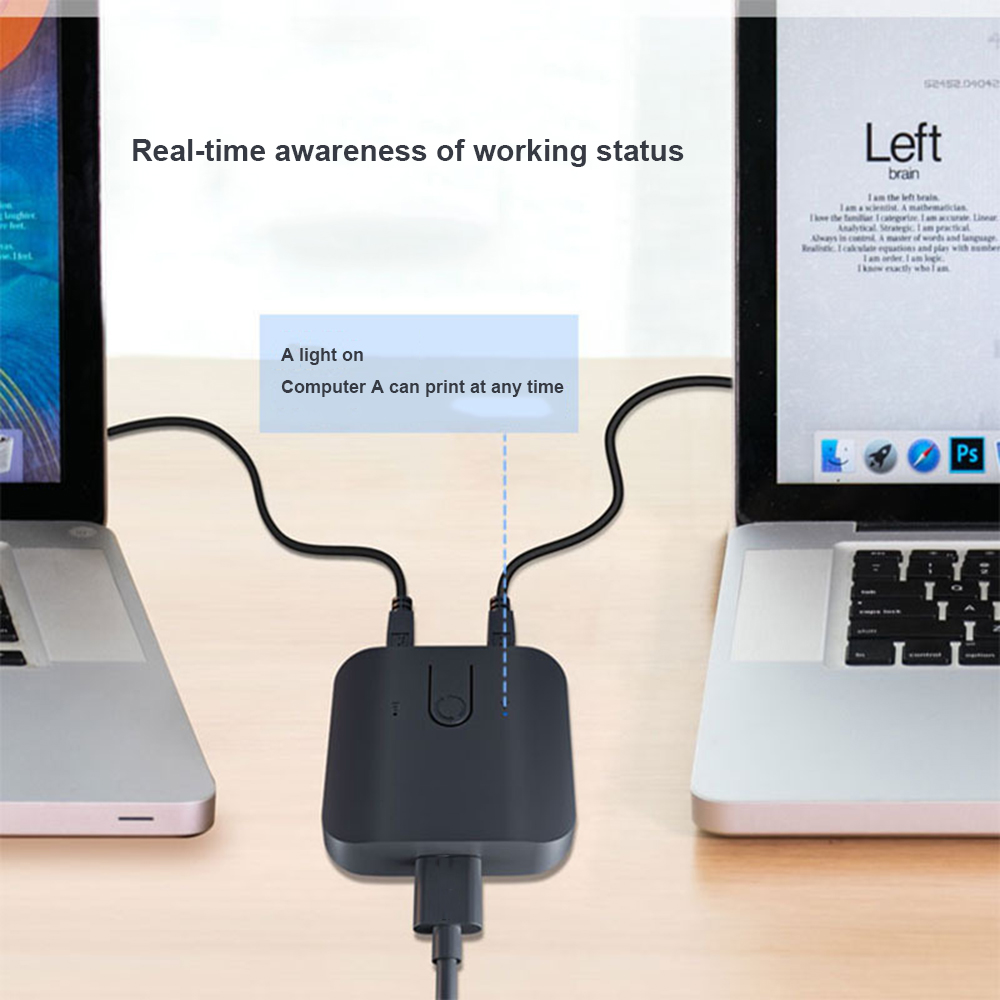 2X1 KVM Switch Box Selector Du - đánh giá và giá Monitor Portable Usb