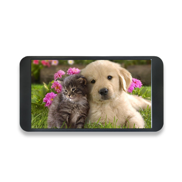 7 Inch 1080P Monitor 1920*1080 - đánh giá và giá Monitor Portable Usb