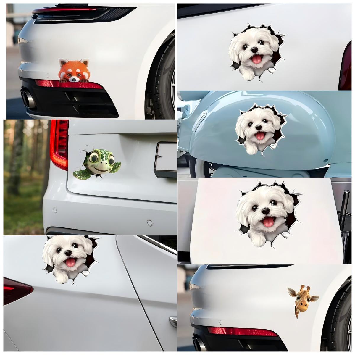 Vinyl Funny Best Gift Classic  - đánh giá và giá Laptop Accessories Best